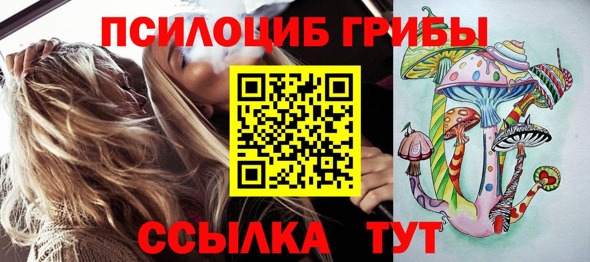 Галлюциногенные грибы Psilocybe  Псилоцибиновые грибы Cubensis  Серов  Вход с VPN 