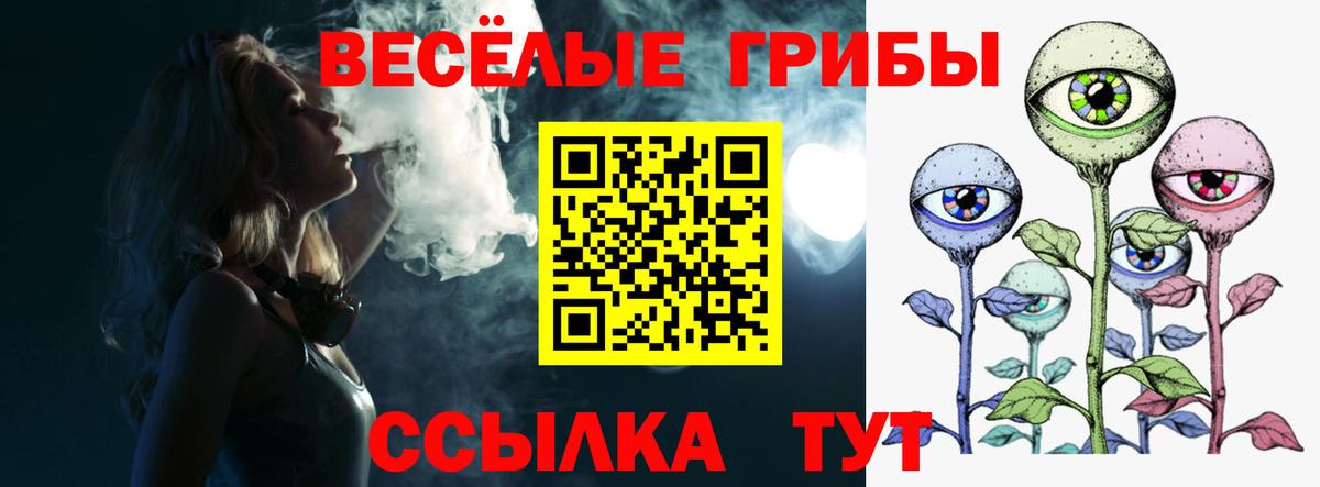 Псилоцибиновые грибы прущие грибы Серов